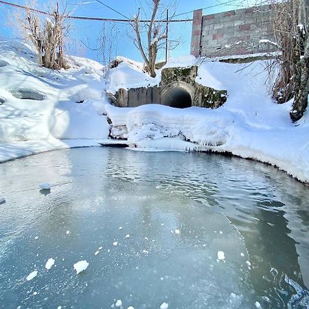 Villa Сакский Двор à Besqaynar Extérieur photo