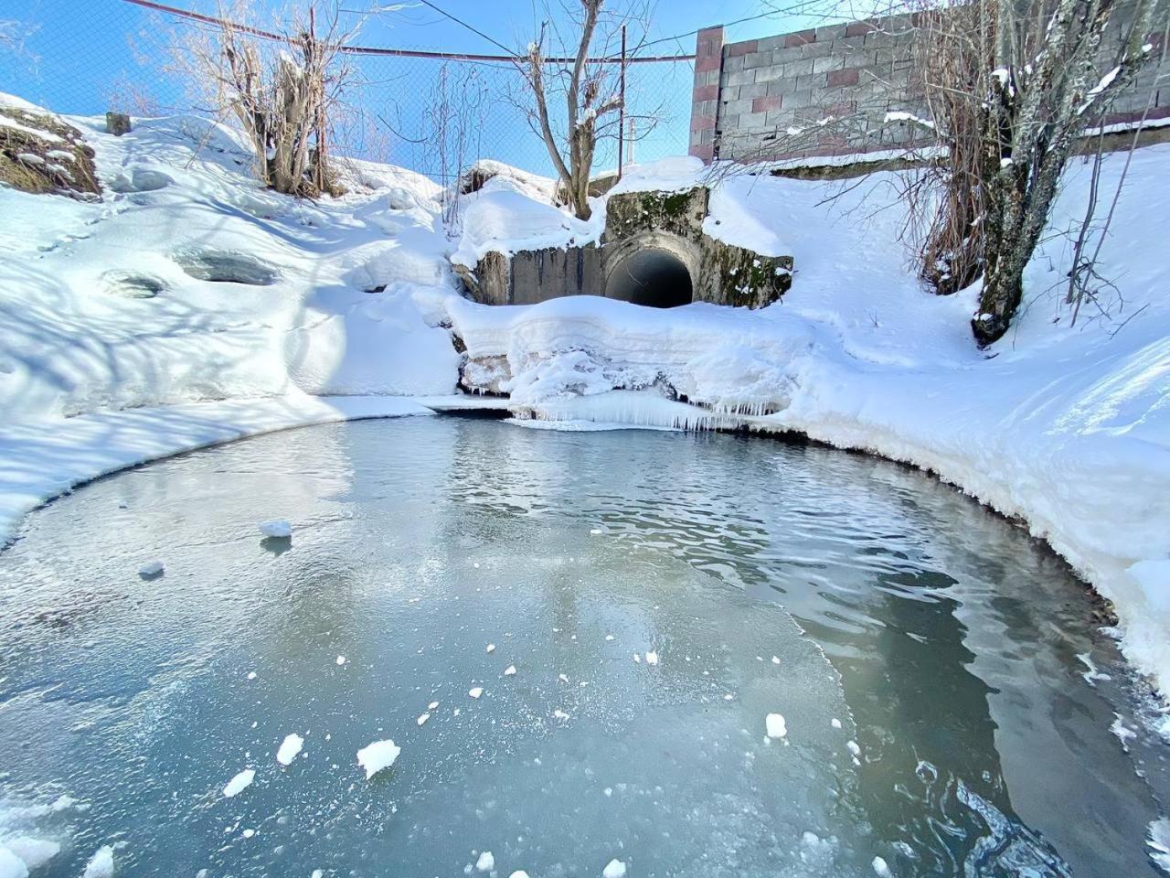 Villa Сакский Двор à Besqaynar Extérieur photo